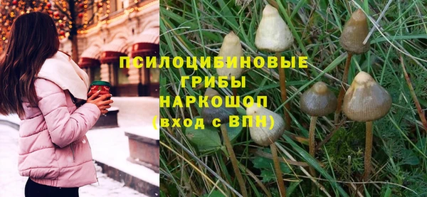 марки nbome Бородино