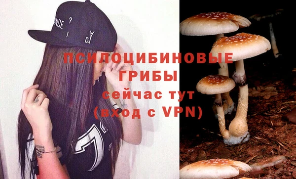 марки nbome Бородино